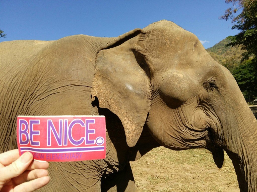 Elephant Nature Park (rescued elephant sanctuary), near Chiang Mai, Thailand